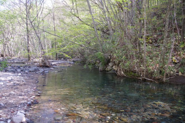 IMGP4506_R