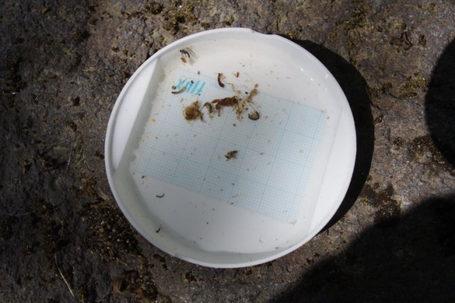 IMGP4523_R