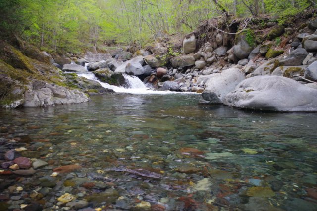 IMGP4619_R