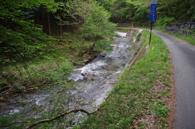 IMGP4717_R