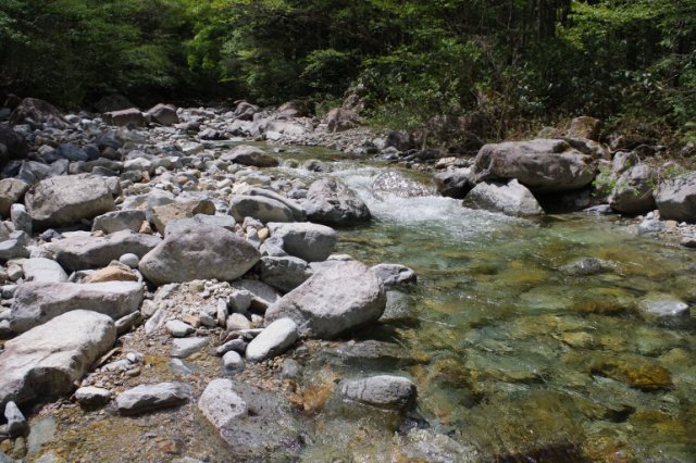 IMGP4794_R