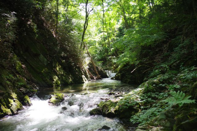 IMGP4999_R