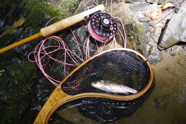 IMGP5019_R