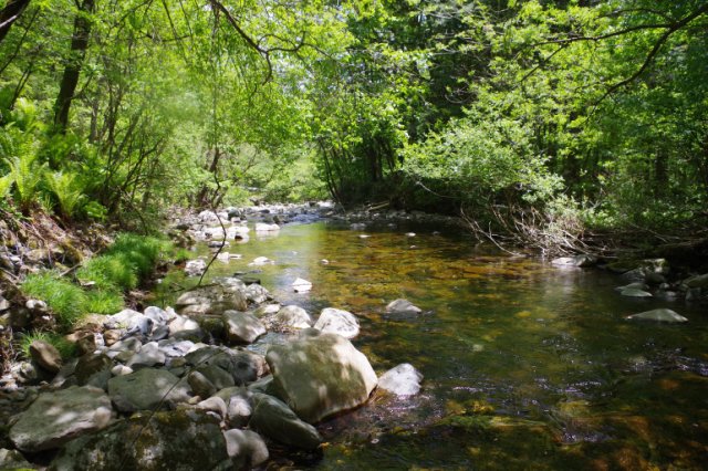 IMGP5142_R