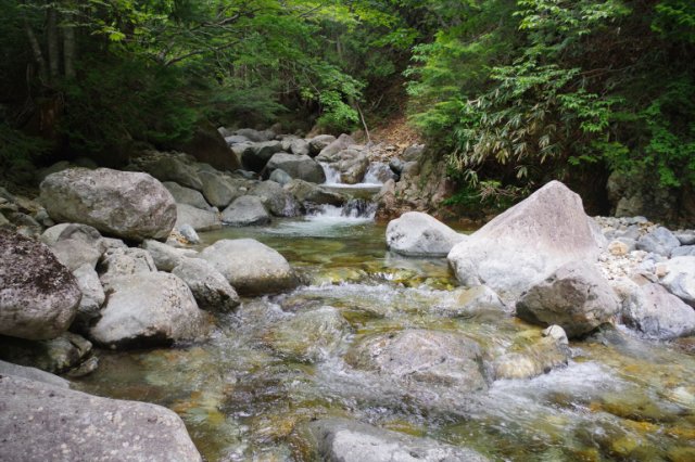 IMGP5425_R