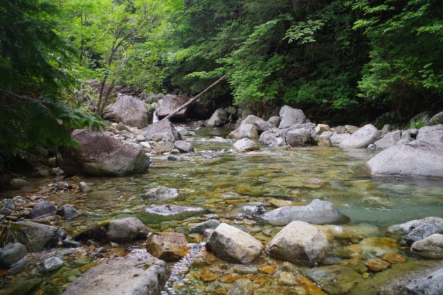 IMGP5499_R