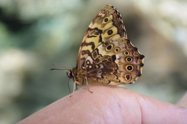 IMGP5590_R