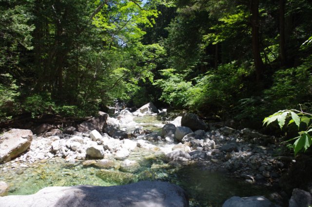 IMGP5596_R