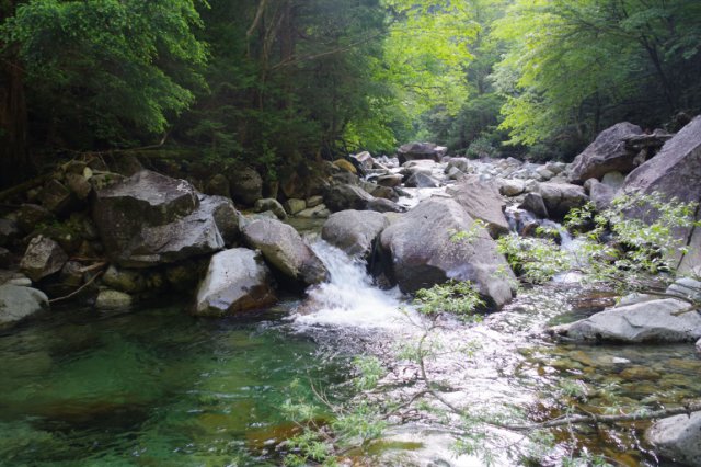 IMGP5769_R