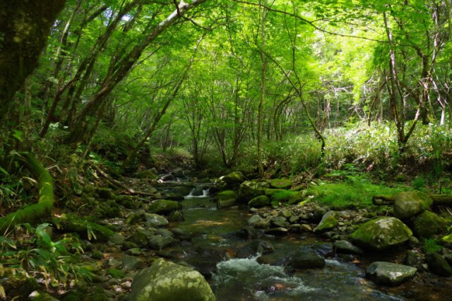 IMGP5902_R