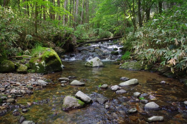 IMGP5976_R