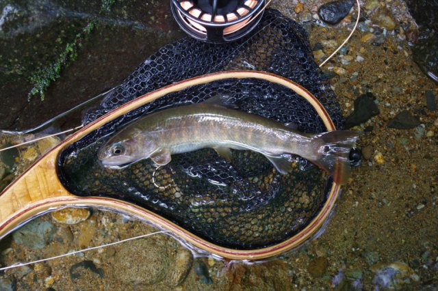 IMGP6039_R