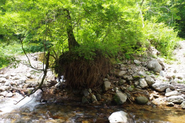 IMGP6170_R