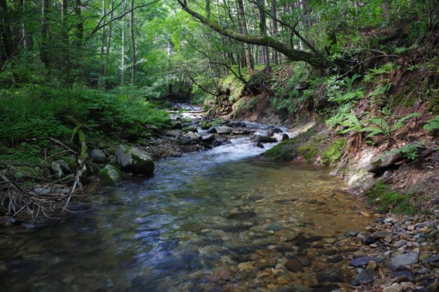 IMGP6291_R