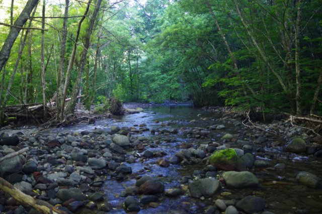 IMGP6292_R