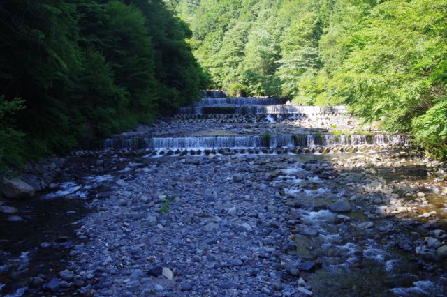 IMGP6402_R