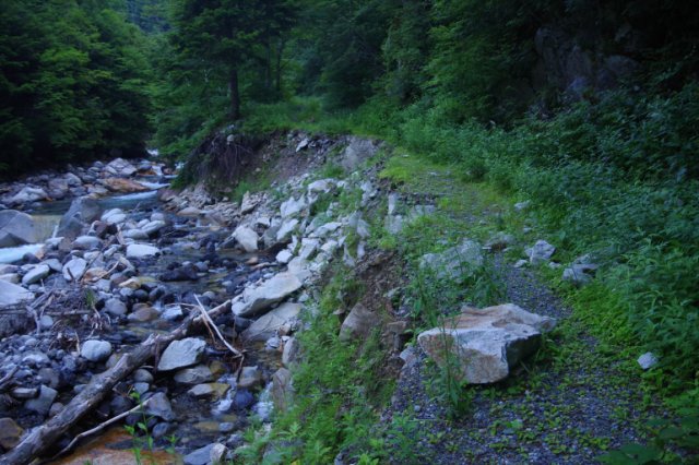 IMGP6475_R
