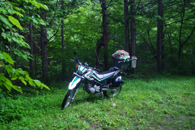IMGP6741_R