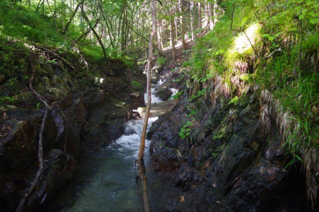 IMGP6749_R