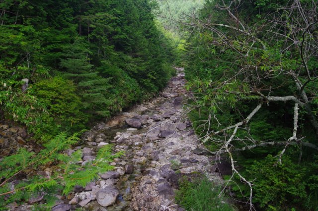 IMGP6862_R