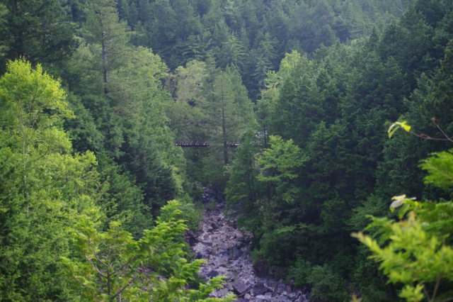 IMGP6879_R