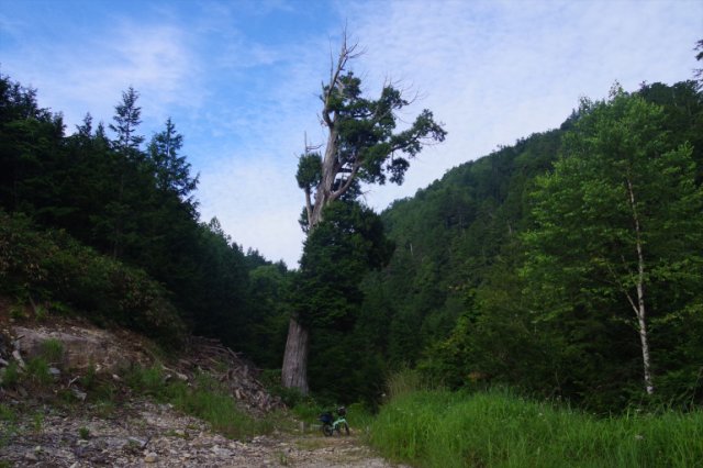 IMGP6887_R