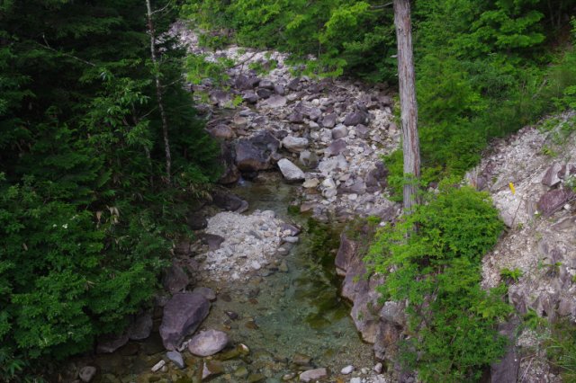 IMGP6894_R