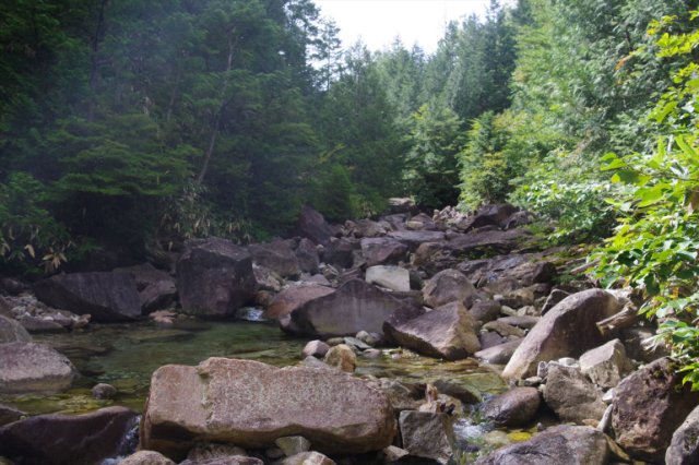 IMGP7542_R