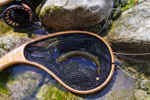 IMGP7959_R