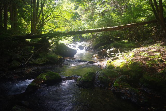 IMGP8186_R