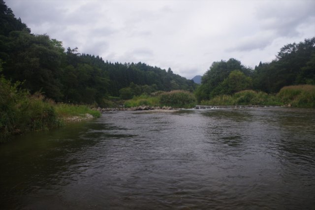 IMGP8209_R