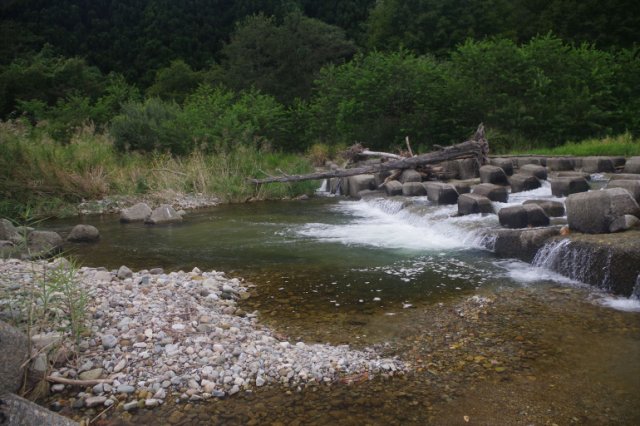 IMGP8221_R