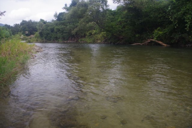 IMGP8231_R