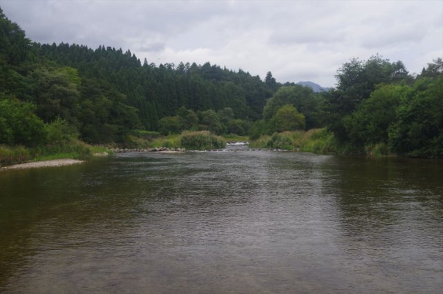 IMGP8249_R