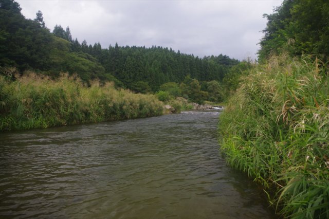 IMGP8262_R