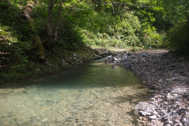IMGP8381_R