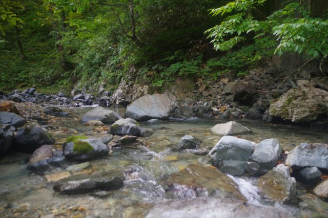 IMGP8403_R