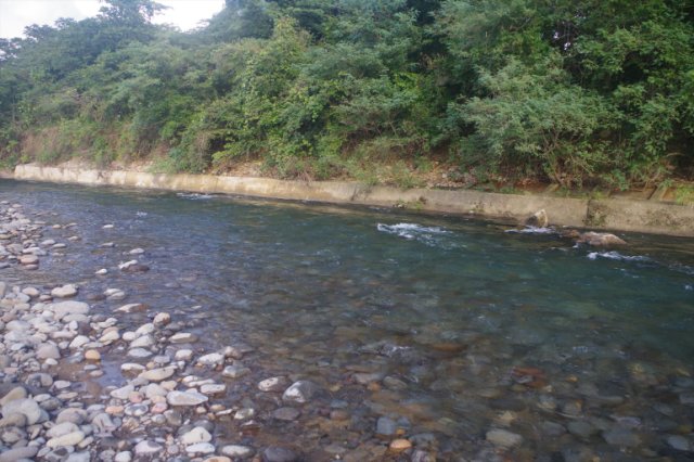 IMGP8485_R
