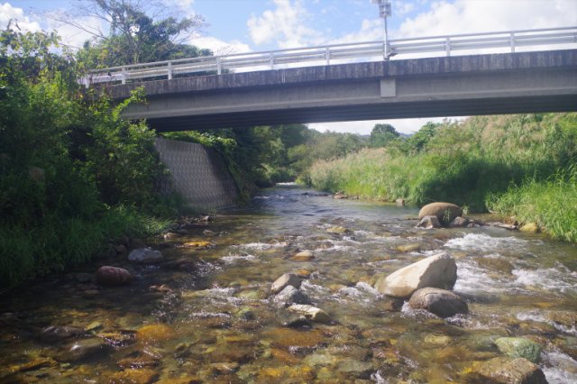 IMGP8515_R