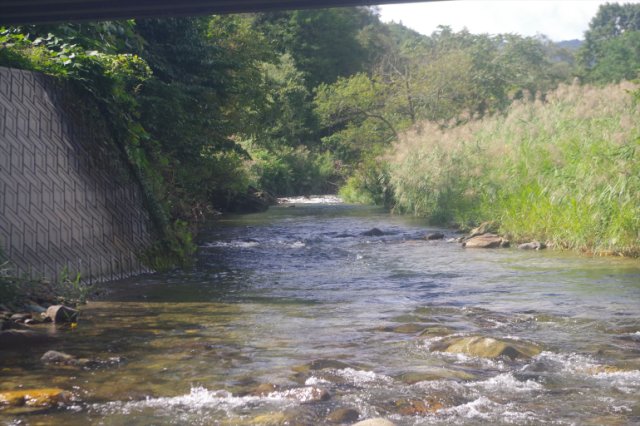 IMGP8516_R