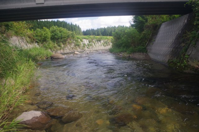 IMGP8521_R