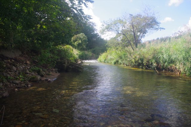 IMGP8523_R