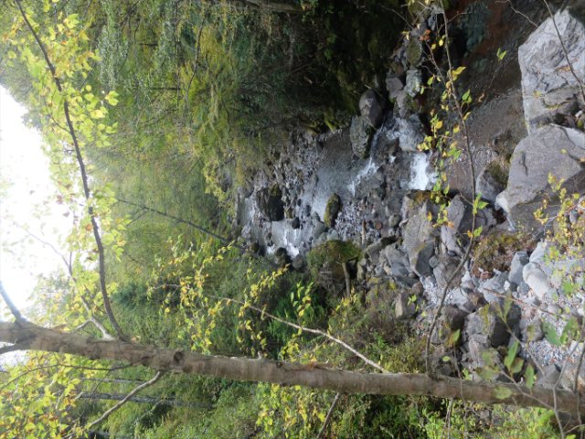 DSCF9047_R