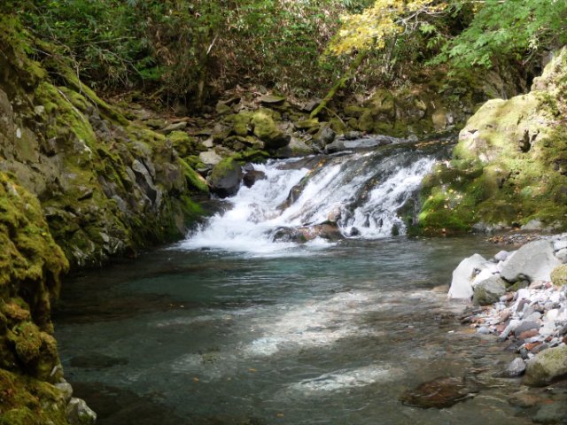 DSCF9100_R