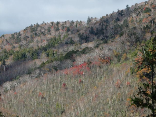 DSCF9484_R