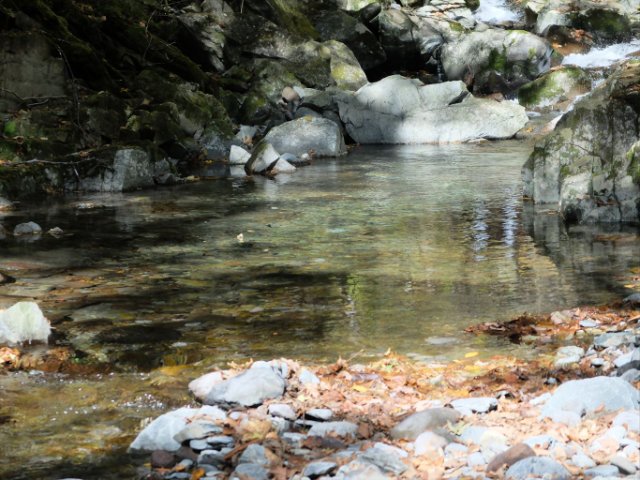 DSCF9546_R
