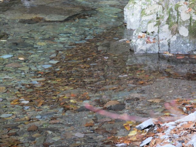 DSCF9554_R