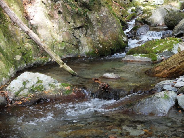 DSCF9577_R