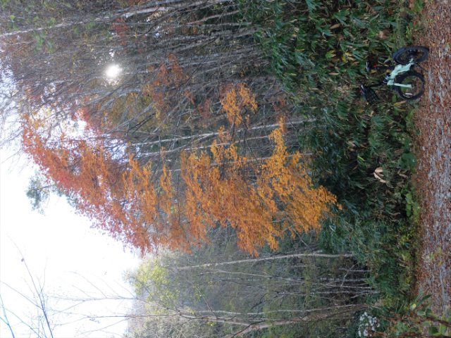 DSCF9678_R