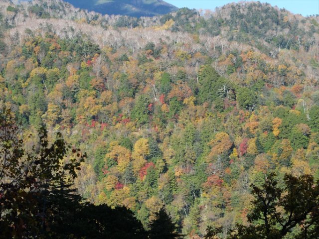 DSCF9726_R